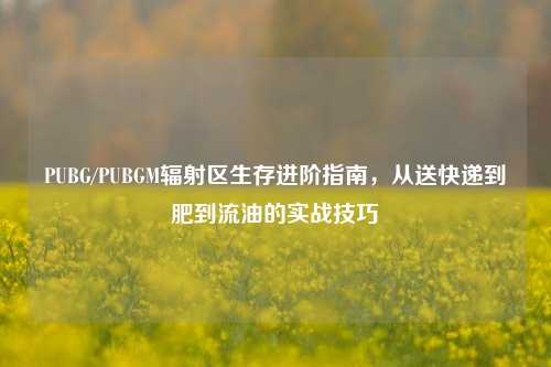PUBG/PUBGM辐射区生存进阶指南,从送快递到肥到流油的实战技巧