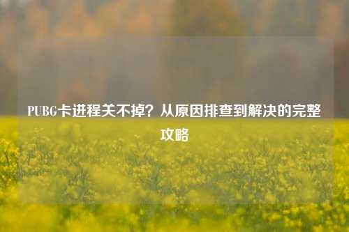 PUBG卡进程关不掉？从原因排查到解决的完整攻略