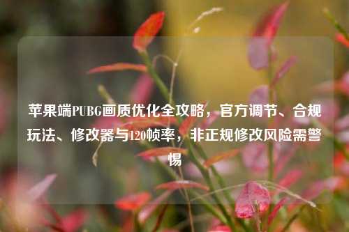 苹果端PUBG画质优化全攻略,官方调节、合规玩法、修改器与120帧率,非正规修改风险需警惕