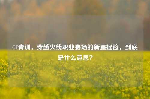 CF青训,穿越火线职业赛场的新星摇篮,到底是什么意思?