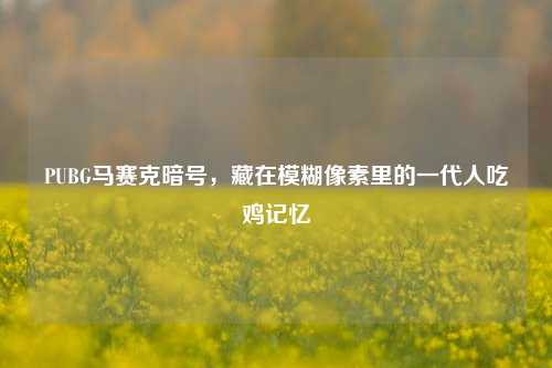 PUBG马赛克暗号，藏在模糊像素里的一代人吃鸡记忆