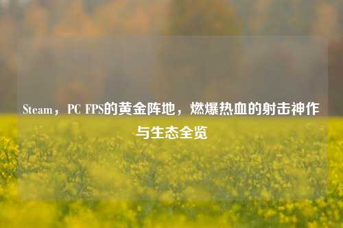 Steam,PC FPS的黄金阵地,燃爆热血的射击神作与生态全览