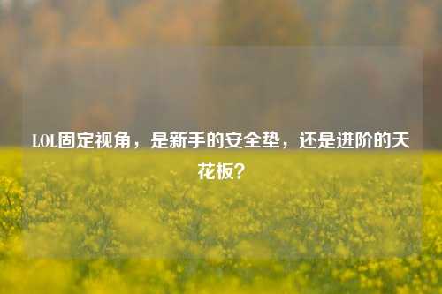 LOL固定视角,是新手的安全垫,还是进阶的天花板?