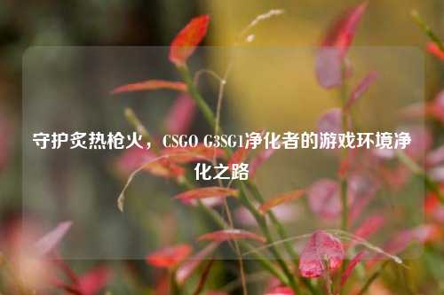 守护炙热枪火,CSGO G3SG1净化者的游戏环境净化之路