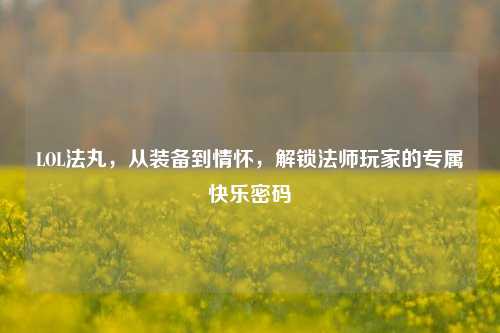 LOL法丸，从装备到情怀，解锁法师玩家的专属快乐密码