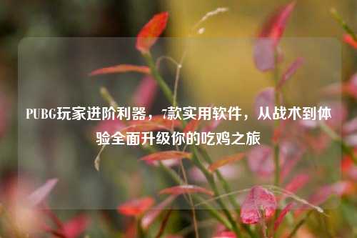 PUBG玩家进阶利器,7款实用软件,从战术到体验全面升级你的吃鸡之旅