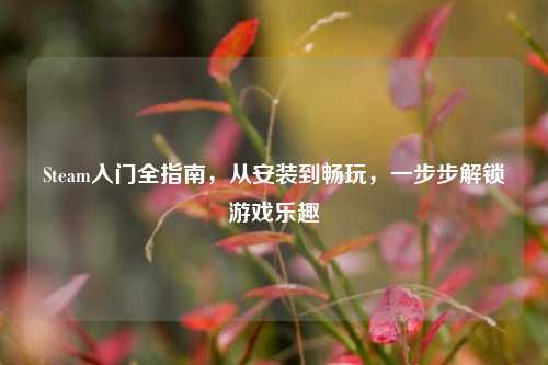 Steam入门全指南,从安装到畅玩,一步步解锁游戏乐趣
