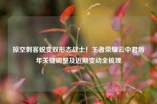 掠空刺客蜕变双形态战士!王者荣耀云中君历年关键调整及近期变动全梳理