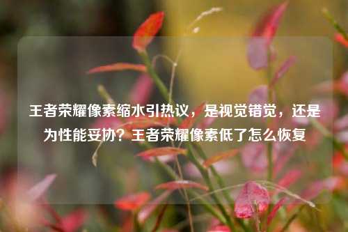 王者荣耀像素缩水引热议,是视觉错觉,还是为性能妥协?王者荣耀像素低了怎么恢复