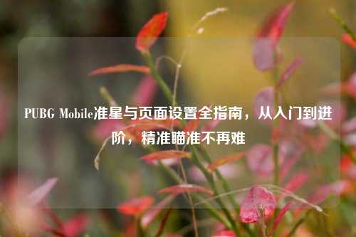 PUBG Mobile准星与页面设置全指南，从入门到进阶，精准瞄准不再难