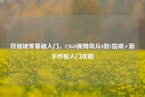 双领域零基础入门，CSGO保姆级从0到1指南+新手炒股入门攻略