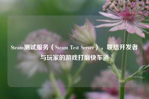 Steam测试服务（Steam Test Server），联结开发者与玩家的游戏打磨快车道