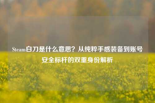 Steam白刀是什么意思？从纯粹手感装备到账号安全标杆的双重身份解析