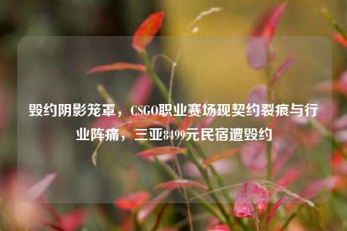 毁约阴影笼罩，CSGO职业赛场现契约裂痕与行业阵痛，三亚8499元民宿遭毁约
