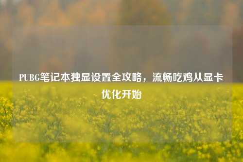 PUBG笔记本独显设置全攻略，流畅吃鸡从显卡优化开始
