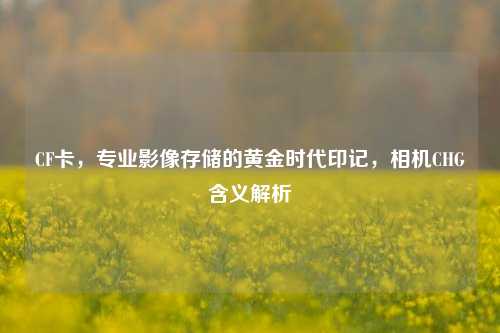 CF卡，专业影像存储的黄金时代印记，相机CHG含义解析