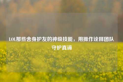 LOL那些舍身护友的神级技能，用操作诠释团队守护真谛