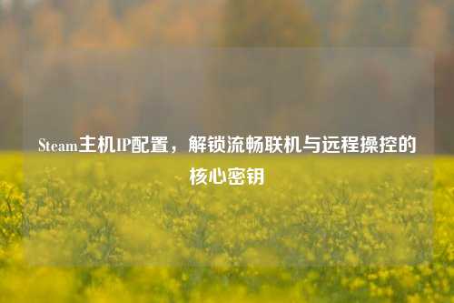 Steam主机IP配置，解锁流畅联机与远程操控的核心密钥