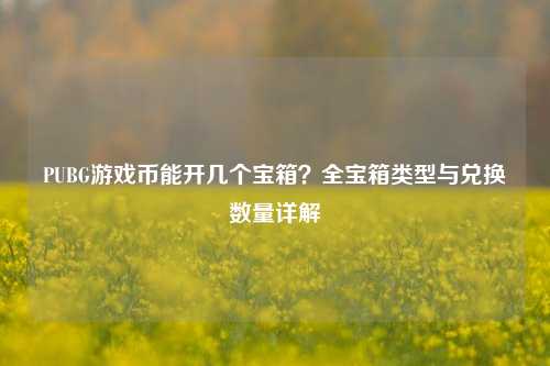 PUBG游戏币能开几个宝箱？全宝箱类型与兑换数量详解