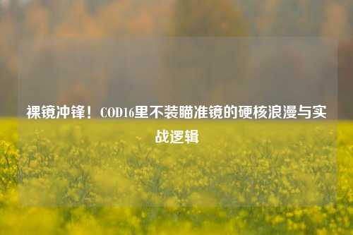 裸镜冲锋！COD16里不装瞄准镜的硬核浪漫与实战逻辑