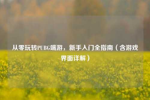 从零玩转PUBG端游，新手入门全指南（含游戏界面详解）