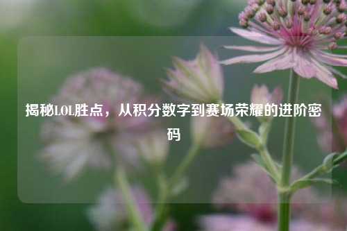 揭秘LOL胜点，从积分数字到赛场荣耀的进阶密码