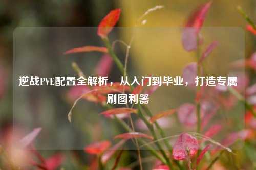 逆战PVE配置全解析，从入门到毕业，打造专属刷图利器