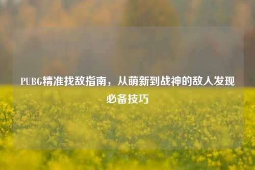 PUBG精准找敌指南，从萌新到战神的敌人发现必备技巧