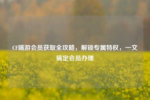 CF端游会员获取全攻略，解锁专属特权，一文搞定会员办理