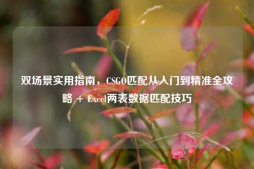 双场景实用指南，CSGO匹配从入门到精准全攻略 + Excel两表数据匹配技巧