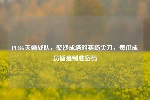 PUBG天霸战队，聚沙成塔的赛场尖刀，每位成员皆是制胜密码