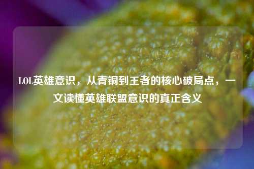 LOL英雄意识，从青铜到王者的核心破局点，一文读懂英雄联盟意识的真正含义