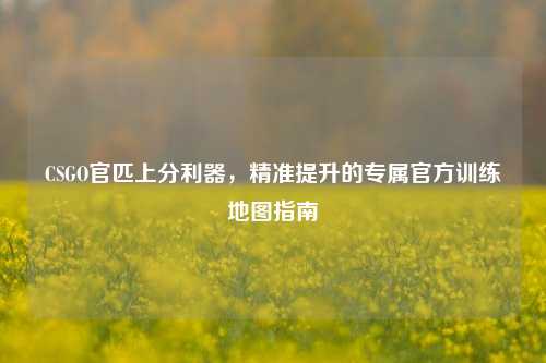 CSGO官匹上分利器，精准提升的专属官方训练地图指南