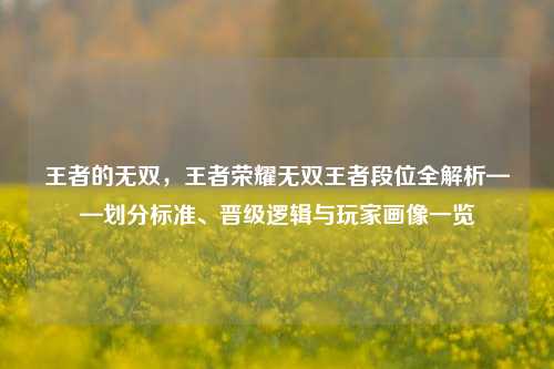 王者的无双，王者荣耀无双王者段位全解析——划分标准、晋级逻辑与玩家画像一览