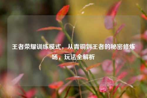 王者荣耀训练模式，从青铜到王者的秘密修炼场，玩法全解析