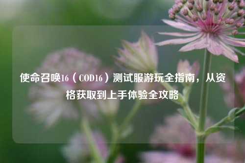 使命召唤16（COD16）测试服游玩全指南，从资格获取到上手体验全攻略