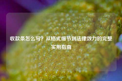 收款条怎么写？从格式细节到法律效力的完整实用指南