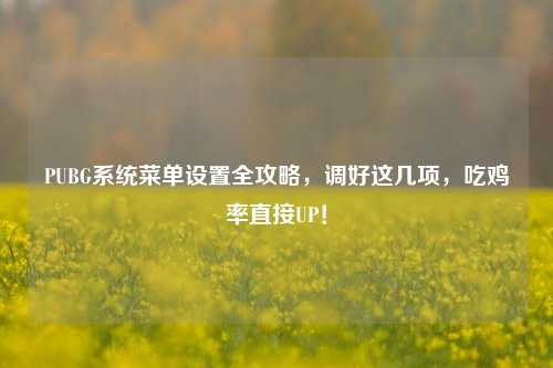 PUBG系统菜单设置全攻略，调好这几项，吃鸡率直接UP！