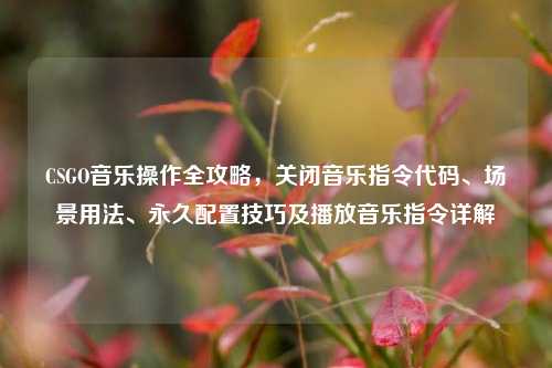 CSGO音乐操作全攻略，关闭音乐指令代码、场景用法、永久配置技巧及播放音乐指令详解