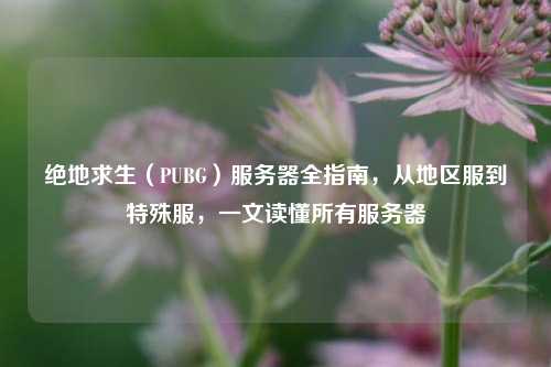 绝地求生（PUBG）服务器全指南，从地区服到特殊服，一文读懂所有服务器