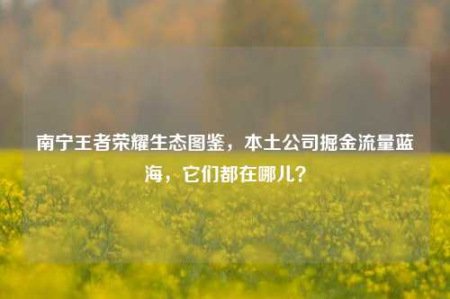 南宁王者荣耀生态图鉴，本土公司掘金流量蓝海，它们都在哪儿？