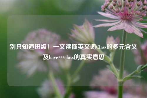别只知道班级！一文读懂英文词Class的多元含义及have…class的真实意思