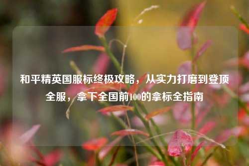 和平精英国服标终极攻略，从实力打磨到登顶全服，拿下全国前100的拿标全指南