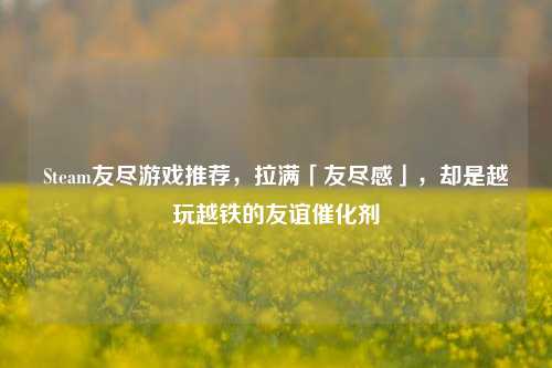 Steam友尽游戏推荐，拉满「友尽感」，却是越玩越铁的友谊催化剂