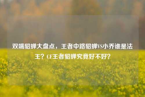 双端貂蝉大盘点，王者中路貂蝉VS小乔谁是法王？CF王者貂蝉究竟好不好？