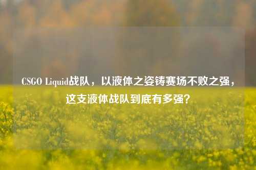 CSGO Liquid战队，以液体之姿铸赛场不败之强，这支液体战队到底有多强？