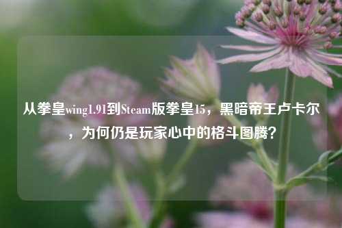 从拳皇wing1.91到Steam版拳皇15，黑暗帝王卢卡尔，为何仍是玩家心中的格斗图腾？
