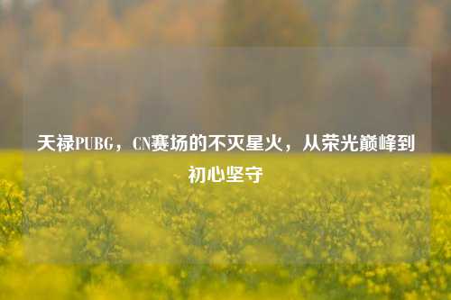 天禄PUBG，CN赛场的不灭星火，从荣光巅峰到初心坚守