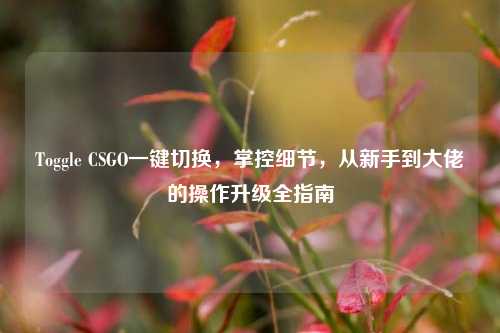 Toggle CSGO一键切换，掌控细节，从新手到大佬的操作升级全指南