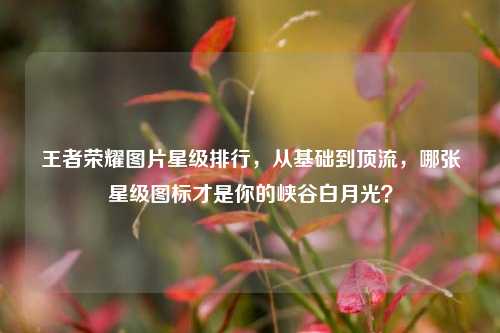 王者荣耀图片星级排行，从基础到顶流，哪张星级图标才是你的峡谷白月光？
